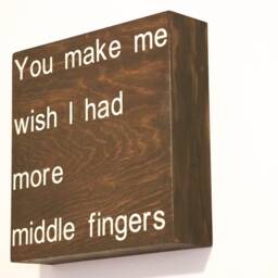 You Make Me Wish I Had More Middle Fingers, Funny Sign, Wood Home Decor, Wall Art, Sign Office Decor - thumbnail 3