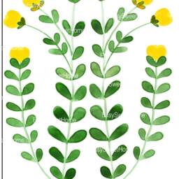 Wall Decal Herb 2-Pack No.10, Home D??cor, Kitchen Floral Decal, Nursery Decor, Dream Meadow - thumbnail 2