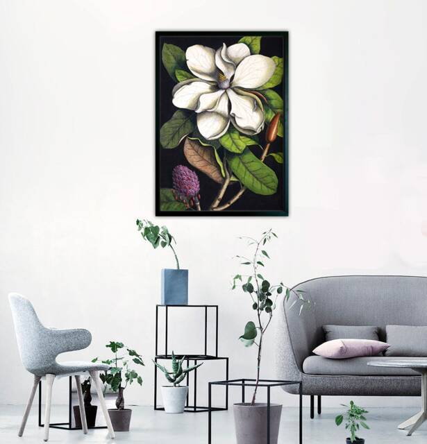 Vintage Magnolia Print, 18Th Century Botanical Illustration, Reproduction Wall Art - image 1