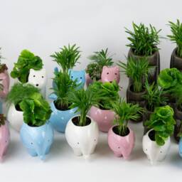Whale Pottery Planter Pink, Blue, White Ceramic Succulent Pot - thumbnail 4