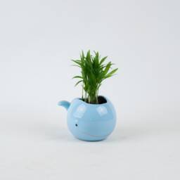 Whale Pottery Planter Pink, Blue, White Ceramic Succulent Pot - thumbnail 3