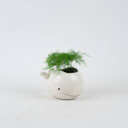 Whale Pottery Planter Pink, Blue, White Ceramic Succulent Pot - thumbnail 2