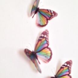 Rainbow Butterfly Wall Art 3D Nursery Wedding Decals - Set Of 8 - thumbnail 4