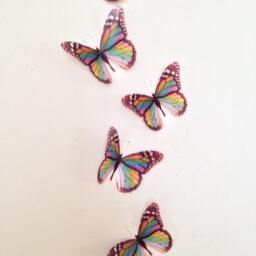 Rainbow Butterfly Wall Art 3D Nursery Wedding Decals - Set Of 8 - thumbnail 3