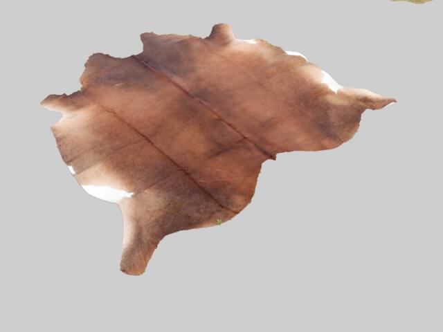 Brown Cowhide Rug - Natural Brazilian For Western Home Decor Custom Floor Area Exclusive Hair On Hide - image 1