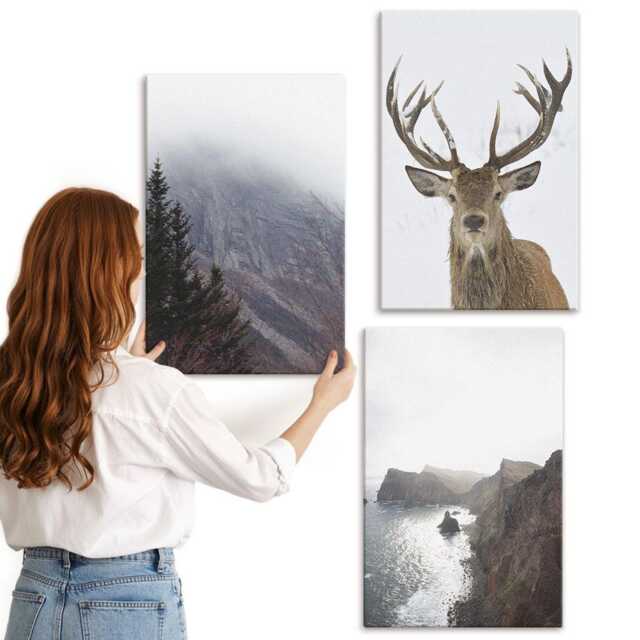 Canvas Set Of 3 - Mountain Landscape With Fog, Water & Deer, Gray Photo Print, Landscapes Wall Decor - image 1