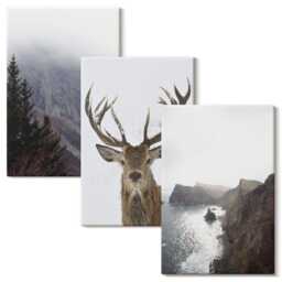 Canvas Set Of 3 - Mountain Landscape With Fog, Water & Deer, Gray Photo Print, Landscapes Wall Decor - thumbnail 2
