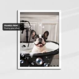 French Bulldog in The Bathtub Dog Pet Abstract Modern Painting Black & White Wall Art Framed Canvas Poster Print, Home Kitchen Office Decor - thumbnail 3