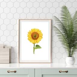 Kitchen Prints, Sunflower Living Room Yellow Wall Art, Grey Decor, Floral Pictures - thumbnail 2