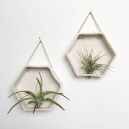 Porcelain Hexagon Air Plant Holder Wall Hanging Planter