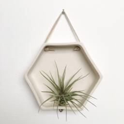 Porcelain Hexagon Air Plant Holder Wall Hanging Planter - thumbnail 2