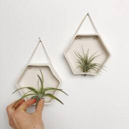 Porcelain Hexagon Air Plant Holder Wall Hanging Planter - thumbnail 3