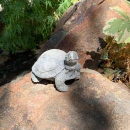 Handcrafted Turtle Cement Statue - thumbnail 3