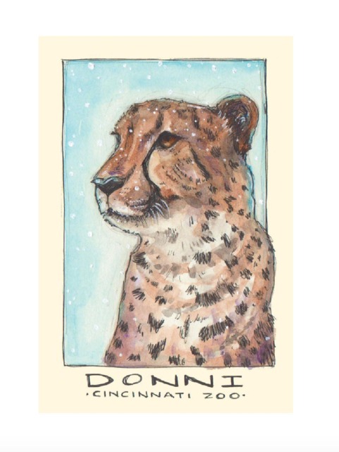 Donni The Cheetah Watercolor Art Print, Animals, Zoo, Cincinnati - image 1