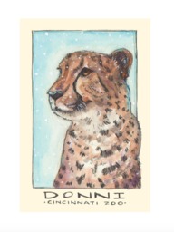 Donni The Cheetah Watercolor Art Print, Animals, Zoo, Cincinnati - thumbnail 1
