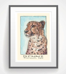 Donni The Cheetah Watercolor Art Print, Animals, Zoo, Cincinnati - thumbnail 2