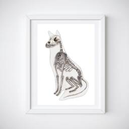 Fox Skeleton Art Print Anatomy Wall Artwork, Watercolor Print, Animal Anatomy, Biology Poster, Future Veterinarian Gift - thumbnail 1