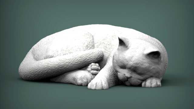 British Shorthair Cat Curled Up -3D Printed - For Cat Lovers, Ornament, Memorial, Gift - image 1