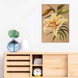 Antique Botanical Art Print Poster Vintage Wall Flowers Floral Lilies Lily Nature Leaf Pretty Illustration Old Victorian Herbs Beautiful - thumbnail 2