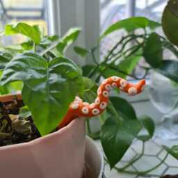 One Extra Octopus Tentacle, Plant Pot Decoration, Fairy Garden, Glow in The Dark, Kraken - thumbnail 1