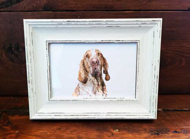 Bracco Italiano Print 17x12cm - White Rustic Frame - Italian Pointer Wall Art, Gift For Owners - image 1