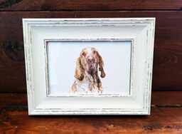 Bracco Italiano Print 17x12cm - White Rustic Frame - Italian Pointer Wall Art, Gift For Owners - thumbnail 1