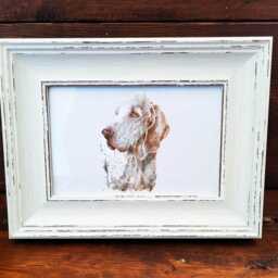 Bracco Italiano Print 17x12cm - White Rustic Frame - Italian Pointer Wall Art, Gift For Owners - thumbnail 3