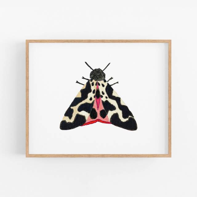 Black & Pink Watercolor Moth Art Print. Colorful Insect Wall Art. Painting. Kids Room Nature Art. White Nursery - image 1