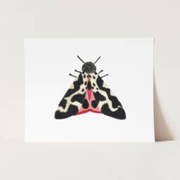 Black & Pink Watercolor Moth Art Print. Colorful Insect Wall Art. Painting. Kids Room Nature Art. White Nursery - thumbnail 2