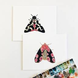 Black & Pink Watercolor Moth Art Print. Colorful Insect Wall Art. Painting. Kids Room Nature Art. White Nursery - thumbnail 3