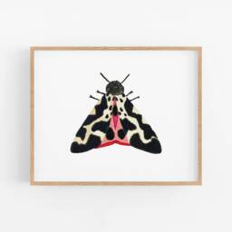 Black & Pink Watercolor Moth Art Print. Colorful Insect Wall Art. Painting. Kids Room Nature Art. White Nursery - thumbnail 1