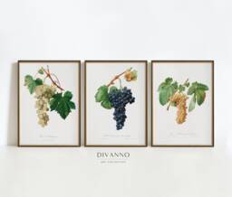 Vintage Grapes Print Set Italian Botanical Kitchen Art - Set Of 3 - thumbnail 1