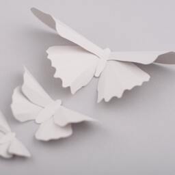 3D Butterfly Wall Art Platinum Silhouettes For Girls Room, Nursery, & Home Art Decor - thumbnail 2