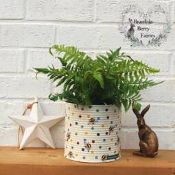 Emma Bridgewater Polka Dot Bees Decoupage Large Or Small Sizes Recycled Tins - Make Great Plant Pots Utensils Holders