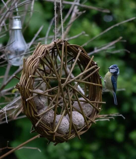 Hanging Willow Bird Feeder - image 1