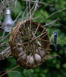 Hanging Willow Bird Feeder