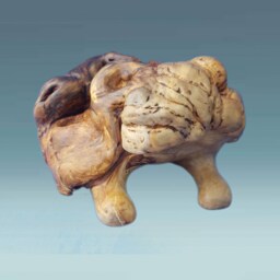 Wooden Frog, Hand Carved Figurine , Wooden Home Decor, Feng Shui Decor , Spiritual Good Luck Symbol, Wedding Couple Gift, Frog Gifts - thumbnail 2