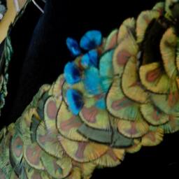 Master Quality Made in Maui Golden Peacock Feather Lei Hatband From Hawaii - thumbnail 3