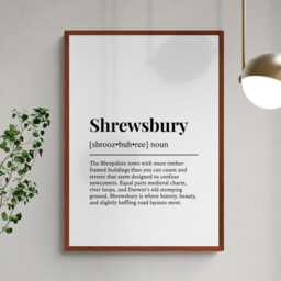 Shrewsbury Funny Definition Shropshire Gift Wall Art Print - thumbnail 2