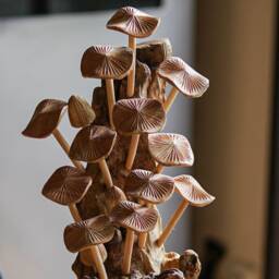 Wooden Mushroom Sculpture 11 Inch/27 cm, Personalized Statue, Carving, Home Decor, Room Living Room, Office Gift Idea - thumbnail 3