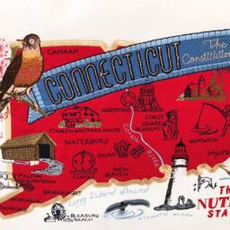 Connecticut State Pillow With Feather Insert - thumbnail 2
