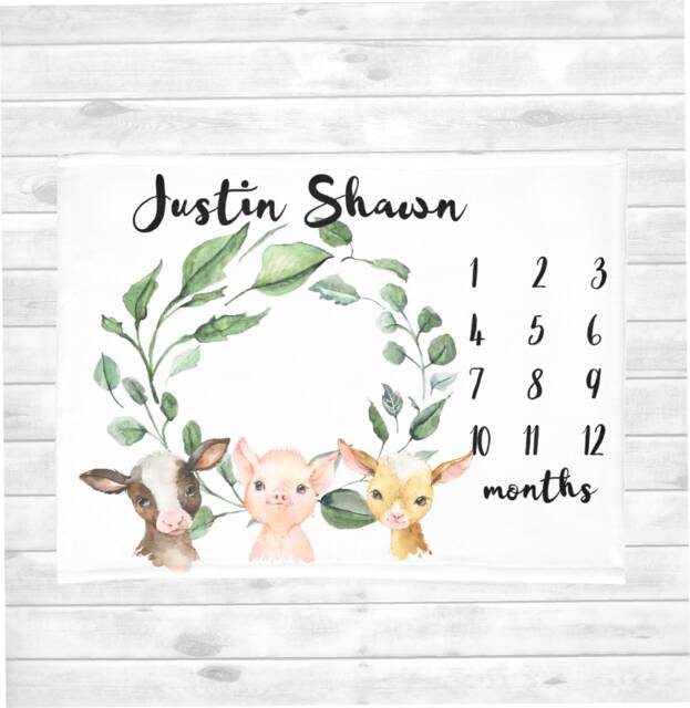 Baby Boy Farm Milestone Blanket - Personalized Baby Boy Blanket - Animal Shower Gift - Minky Monthly Blanket - image 1