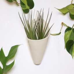 Ceramic Wall Planter, Medium Cone By Carter + Rose - thumbnail 4