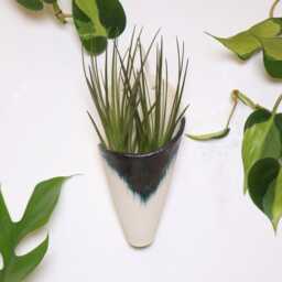 Ceramic Wall Planter, Medium Cone By Carter + Rose - thumbnail 2