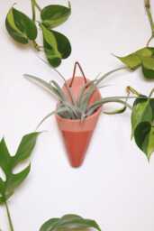 Ceramic Wall Planter, Medium Cone By Carter + Rose
