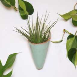 Ceramic Wall Planter, Medium Cone By Carter + Rose - thumbnail 3