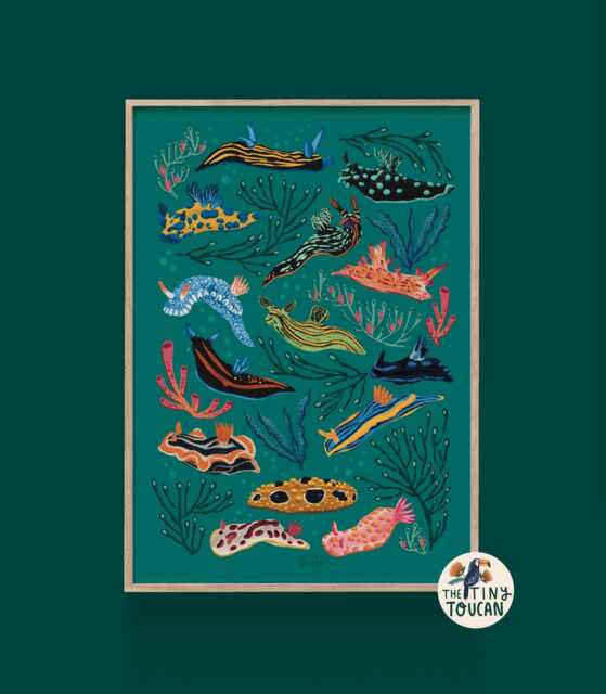 Nudibranch Sea Slug A4 Fine Art Print - Colourful Interior Decor - Sustainable Gifting - image 1