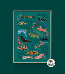 Nudibranch Sea Slug A4 Fine Art Print - Colourful Interior Decor - Sustainable Gifting - thumbnail 1