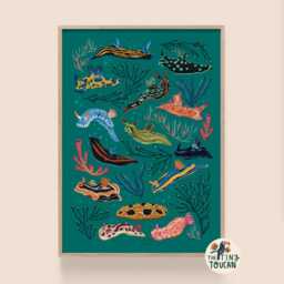 Nudibranch Sea Slug A4 Fine Art Print - Colourful Interior Decor - Sustainable Gifting - thumbnail 3
