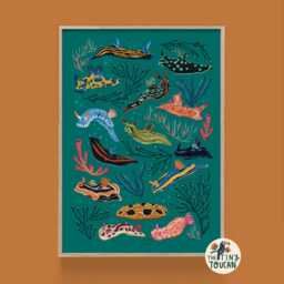 Nudibranch Sea Slug A4 Fine Art Print - Colourful Interior Decor - Sustainable Gifting - thumbnail 2